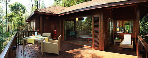 The Tamara Coorg