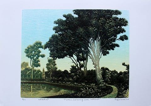 Raja Boro’s work