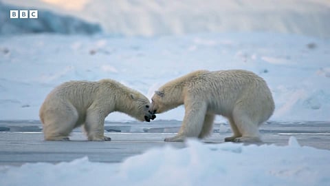 Frozen Planet
