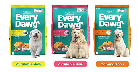 EveryDawg food