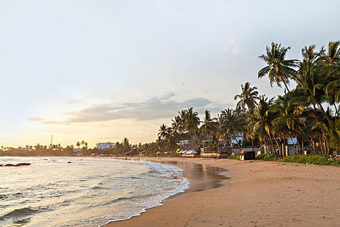 In frame: Mirissa Beach