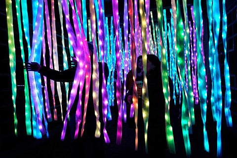 Visitors to the Chicago Botanic Garden's Lightscape holiday experience of light and music pass through the 'Electric Ribbon Tunnel,' created by Culture Creative