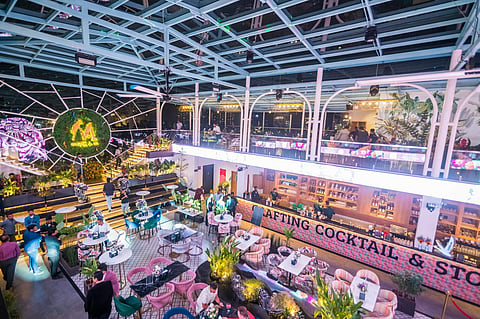 Interiors of Macaw by Stories