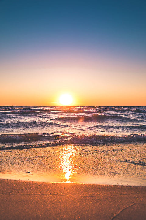 Image Credits: Pexels