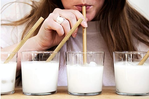 dairy