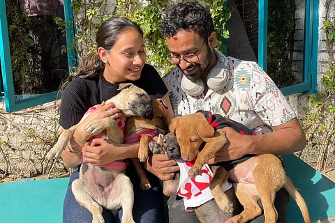 Pawasana encourages adoption of Indie puppies