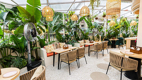 Cafe Corra