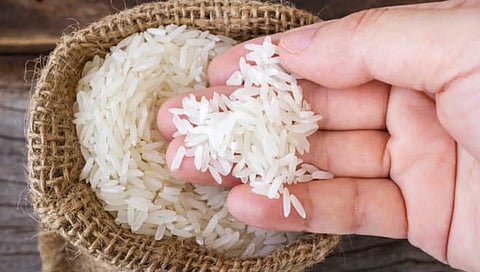 ಪ್ರಾತಿನಿಧಿಕ ಚಿತ್ರ