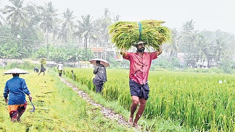 ಸಾಂದರ್ಭಿಕ ಚಿತ್ರ