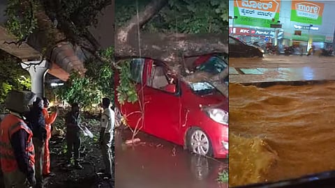 Bengaluru Rains: ಬಿರುಗಾಳಿ ಸಹಿತ ಧಾರಾಕಾರ ಮಳೆ, Namma Metro ಹಳಿ ಮೇಲೆ ಮರ ಬಿದ್ದು ಸಂಚಾರ ಸ್ಥಗಿತ!