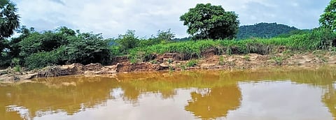 ಮಂಗಳೂರು: ಮರಳು ದಂಧೆಯಿಂದ ಕಣ್ಮರೆಯಾಗುತ್ತಿದೆ 'ಪಾವೂರು ಉಳಿಯ ದ್ವೀಪ'!