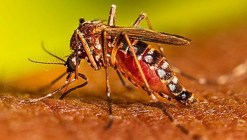 ಸಾಂದರ್ಭಿಕ ಚಿತ್ರ