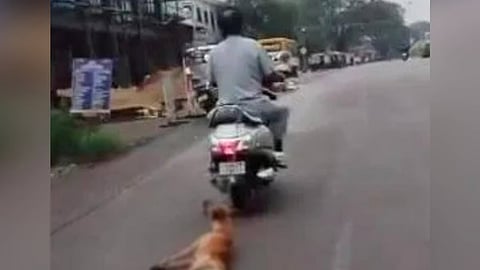 ಪ್ರತ್ಯಕ್ಷ ದೃಶ್ಯ