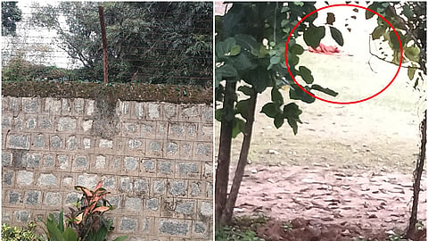 ನಾಯಿ ದಾಳಿಯಿಂದ ನೆಲಕ್ಕೆ ಕುಸಿದು ಬಿದ್ದಿರುವ ಮಹಿಳೆ.