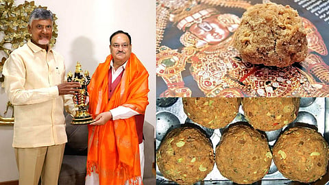 JP Nadda and Chandrababu Naidu