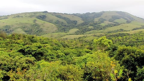 ಸಾಂದರ್ಭಿಕ ಚಿತ್ರ