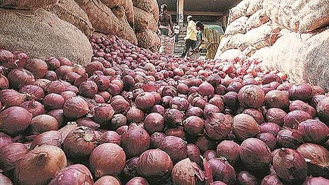Onion (Casual Images)