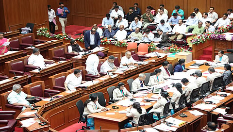 Legislative Council