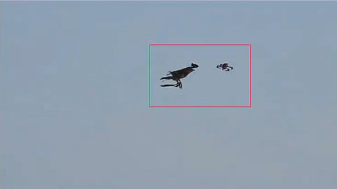 Telangana police gets Eagle Squad