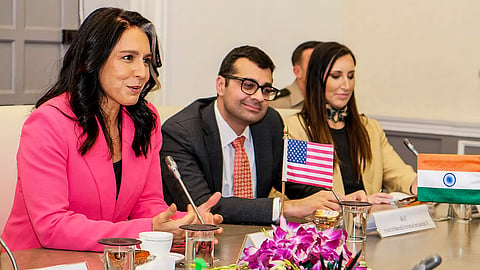 Tulsi Gabbard