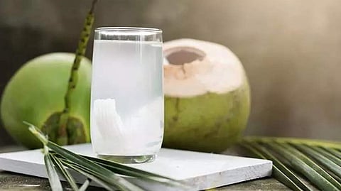 ಎಳನೀರು