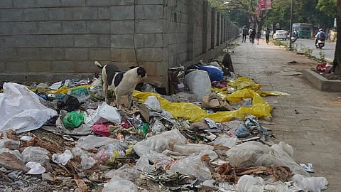 Garbage collection disrupted in Bengaluru; 35 FIRs registered against contractors