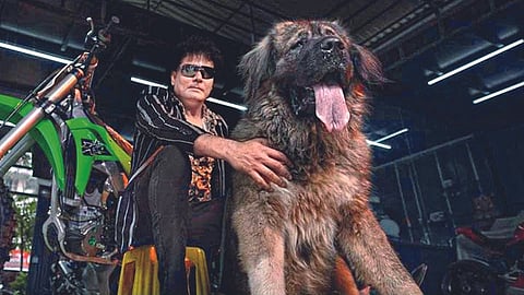 Bengaluru Dog breeder Satish