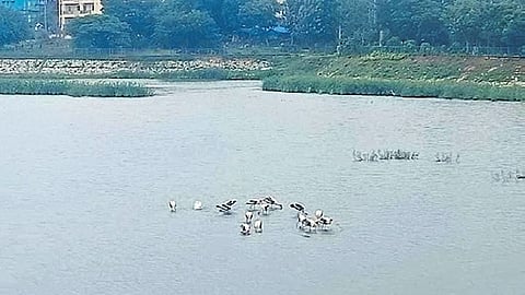 Vibhutipura Lake