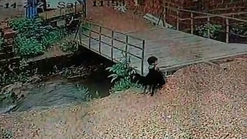 CCTV footage shows a two-year old near the drain in Bhatkal