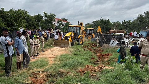 forest land reclaimed