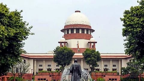 Supreme Court halts apple tree felling in Himachal Pradesh amidst farmer protests