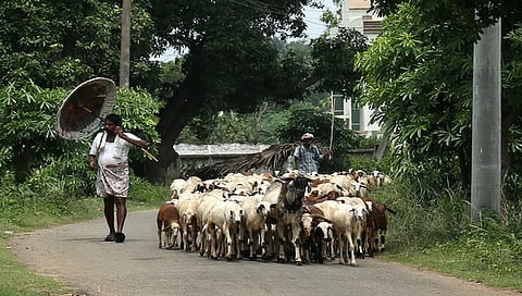 Representational image