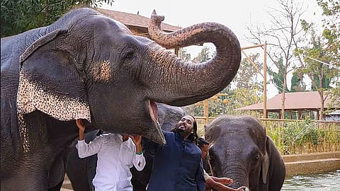 Vantara Zoo