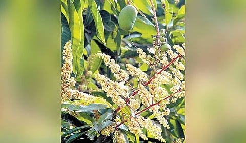 Representational image