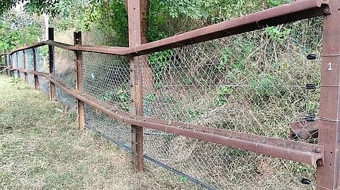 Chain-link mesh