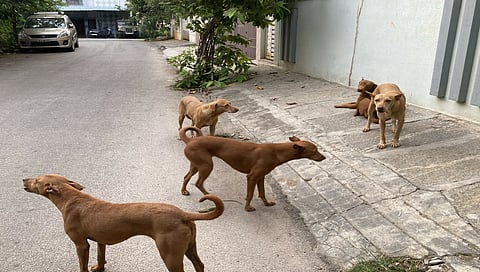 Representational image