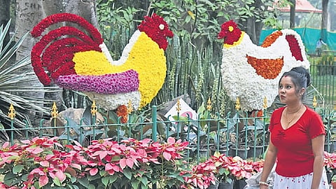 Flower arrangements