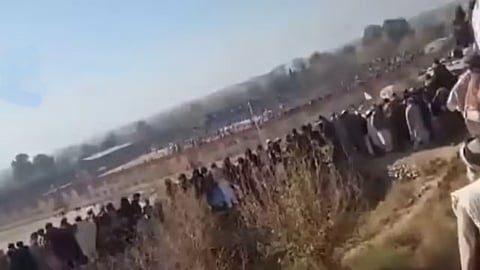 crowd in stadium