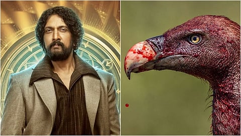 ಬಿಗ್ ಬಾಸ್ 12 ಫಿನಾಲೆ ಹೊತ್ತಲ್ಲಿ ಕಿಚ್ಚ ಸುದೀಪ್ಗೆ ಸಂಕಷ್ಟ ತಂದ 'ರಣಹದ್ದು'!
