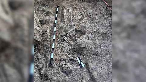 The skeletons were found in a well-preserved condition.