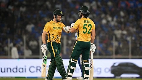 South africa player