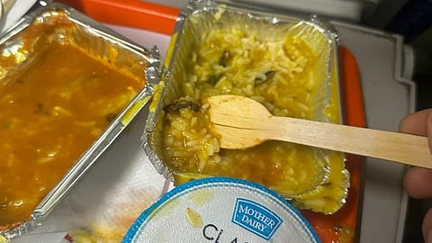 Insect In Dal Chawal