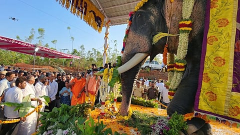 Arjuna Elephant Memorial