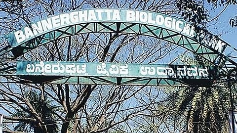 Bannerghatta National Park