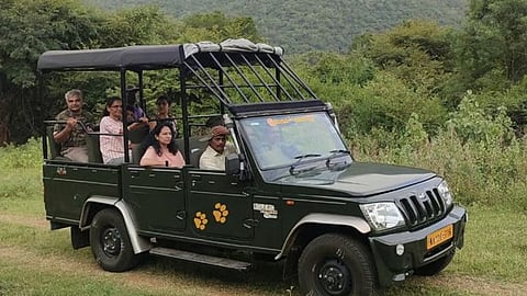 Safari vehicle