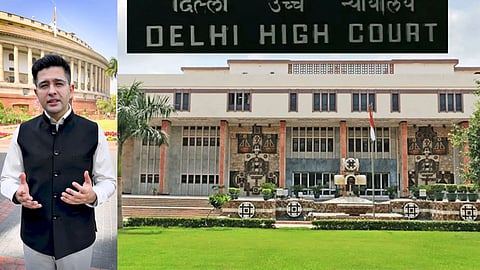 Delhi HC tells Raghav Chadha in personality rights case
