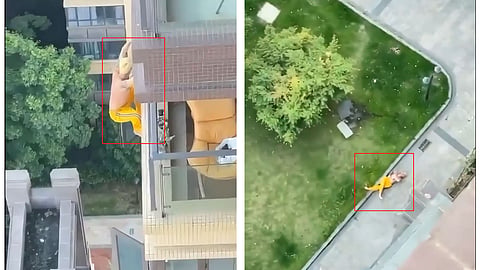 Fitness Coach Fatally Falling 30 Stories After Hiding On Window Ledge