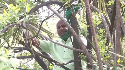 Vishu Kumar