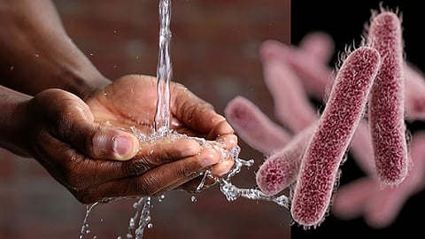 Shigella confirmed in Kerala