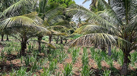 Bidadi township
